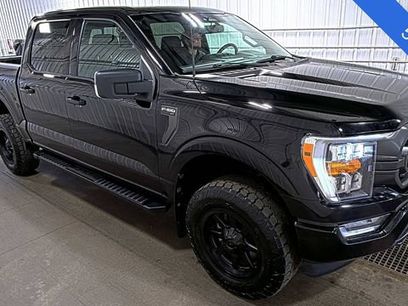 Used 2023 Ford F150 XLT w/ Equipment Group 302A High