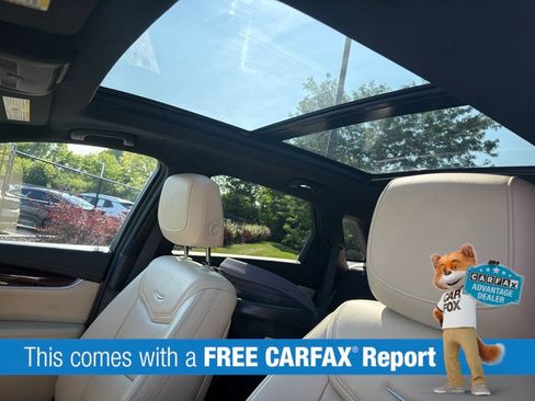 Used 2019 Cadillac XT5 Premium Luxury w/ Driver Assist Package AWD/4WD image 2