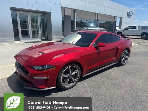 Used 2022 Ford Mustang GT Premium w/ California Special Package RWD image 1