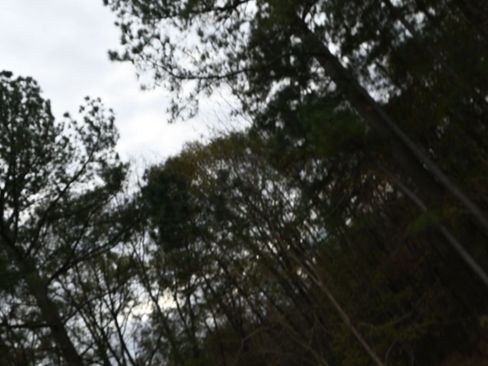 Used 2021 Aston Martin V8 Vantage Coupe image 24