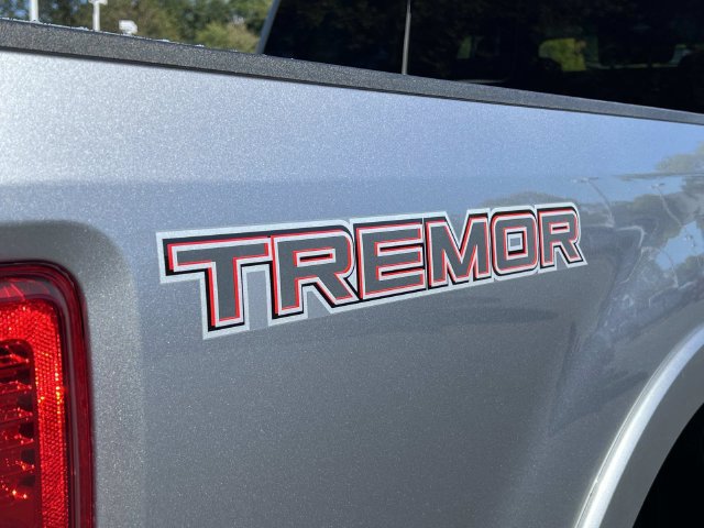 Certified 2020 Ford F250 Lariat w/ Tremor Off-Road Package AWD/4WD image 11