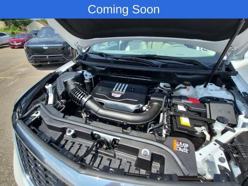 Used 2024 Cadillac XT5 Premium Luxury AWD/4WD image 14