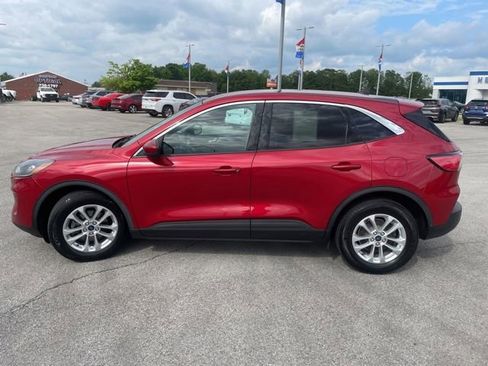 Used 2020 Ford Escape SE FWD image 5