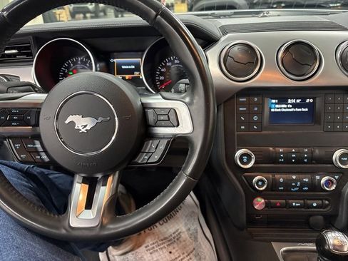 Used 2023 Ford Mustang GT w/ Mustang Nite Pony Package image 14