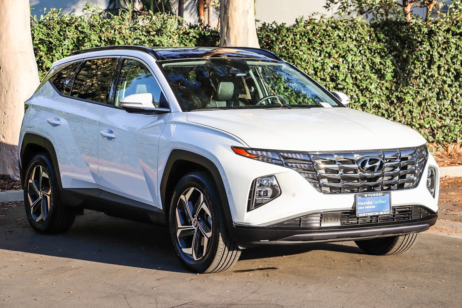 Certified 2024 Hyundai Tucson Limited AWD/4WD image 3