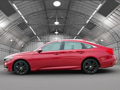 Used 2019 Honda Accord LX image 4