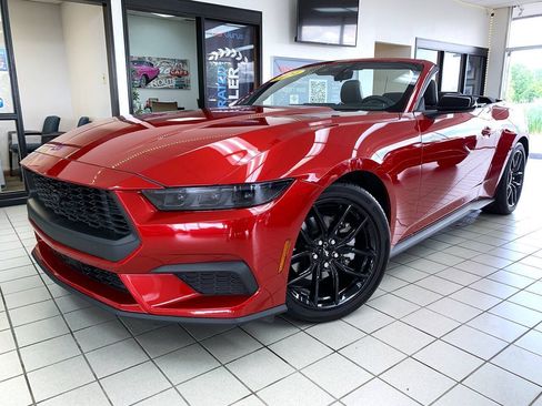 Used 2024 Ford Mustang Convertible w/ Mustang Nite Pony Package RWD image 2