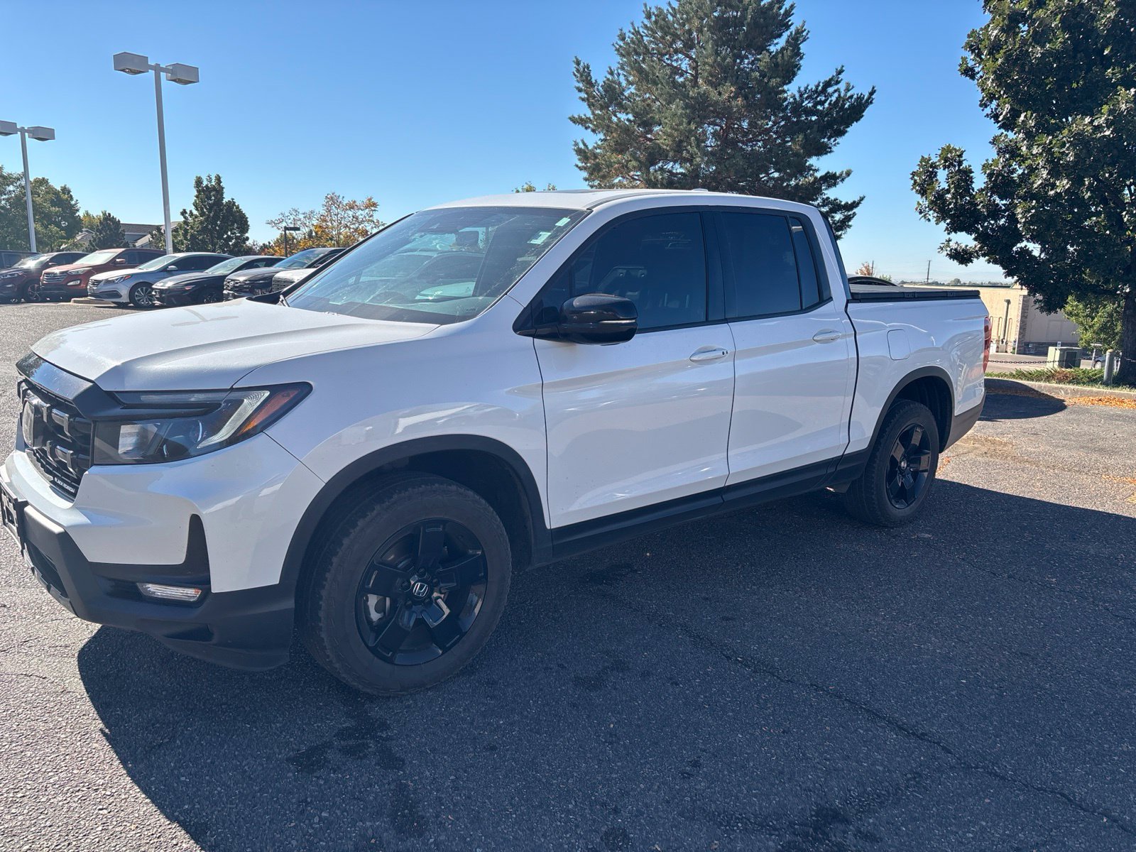 Used 2025 Honda Ridgeline Black Edition image 1