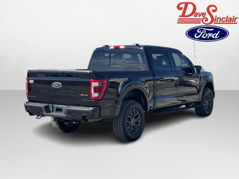 Used 2021 Ford F150 Tremor w/ Equipment Group 402A High AWD/4WD image 7