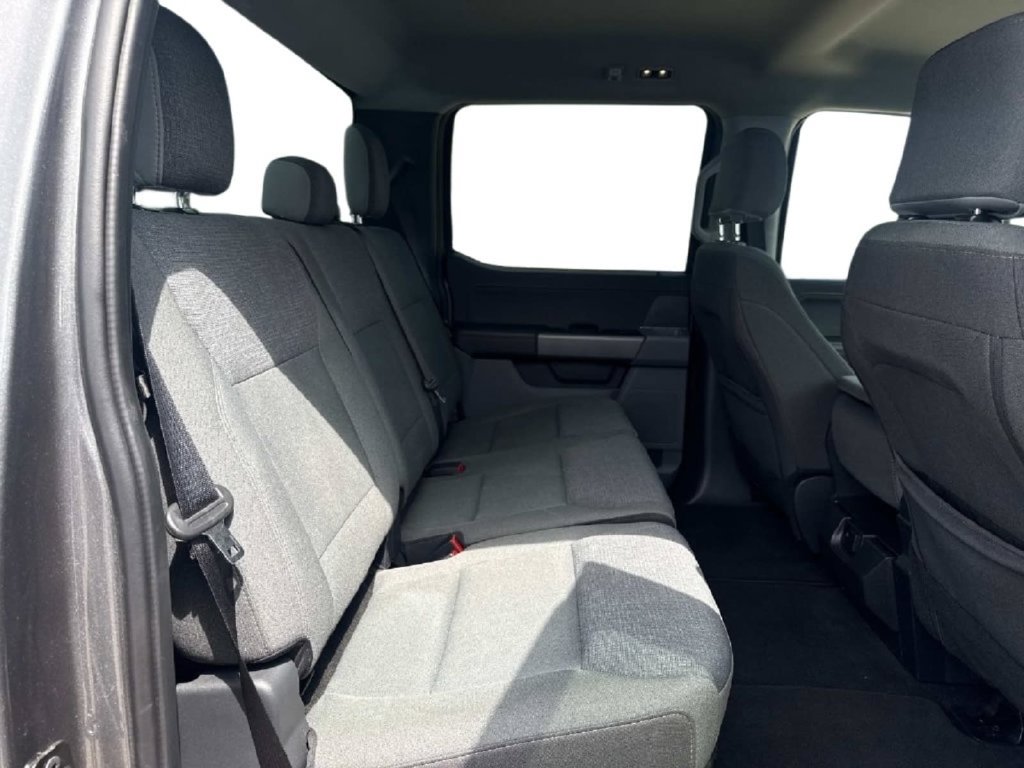 Used 2025 Ford F150 XLT w/ Equipment Group 301A Standard AWD/4WD image 13