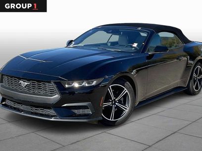 Used 2024 Ford Mustang Premium