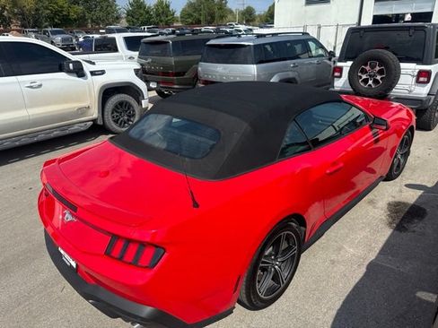 Used 2025 Ford Mustang Premium RWD image 15