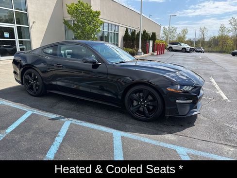Used 2022 Ford Mustang GT Premium w/ Equipment Group 401A RWD image 4