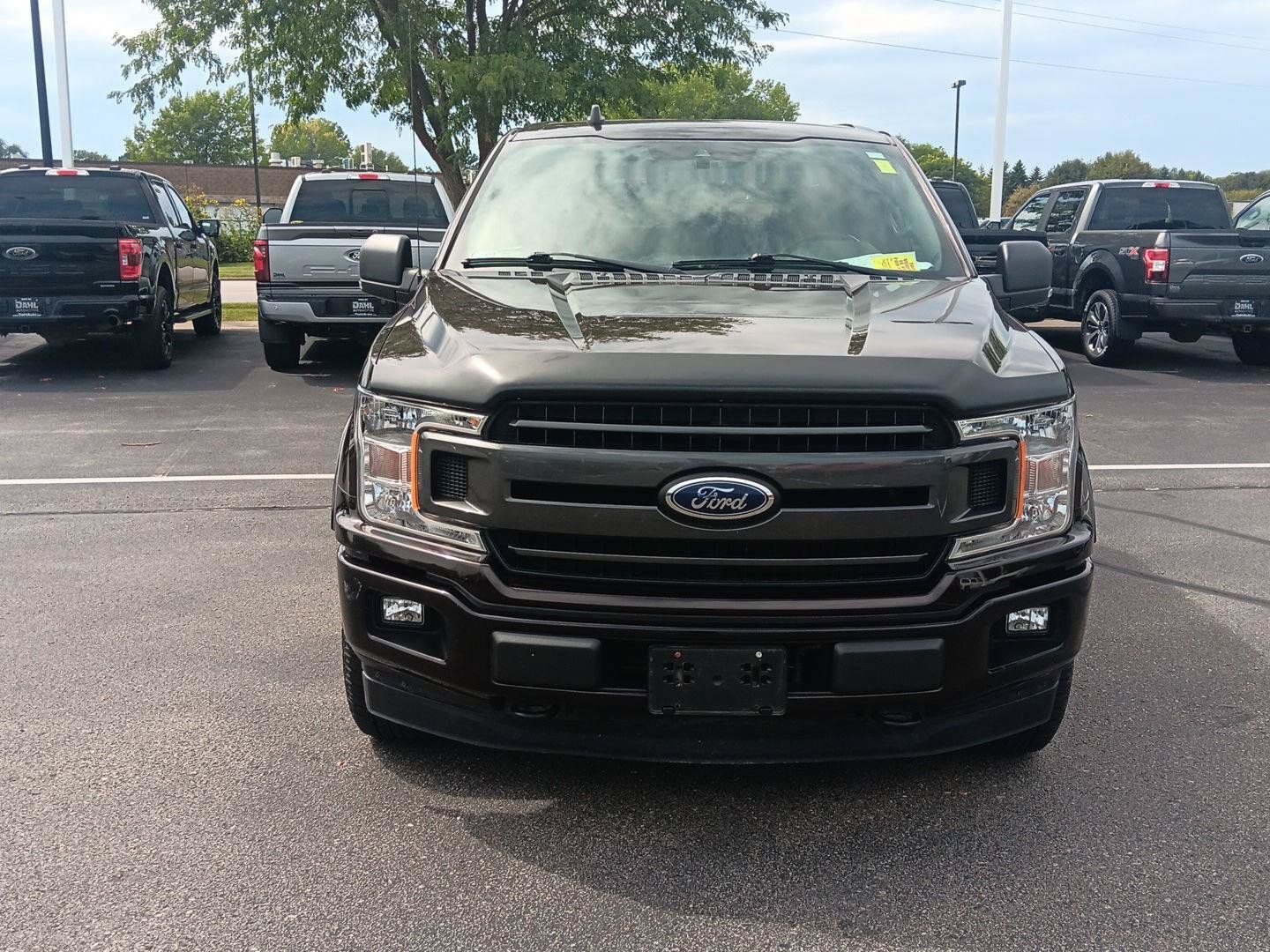 Used 2019 Ford F150 XLT w/ Equipment Group 302A Luxury AWD/4WD image 13