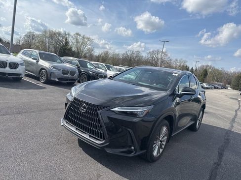 Used 2023 Lexus NX 350 AWD w/ Cold Area Package image 3