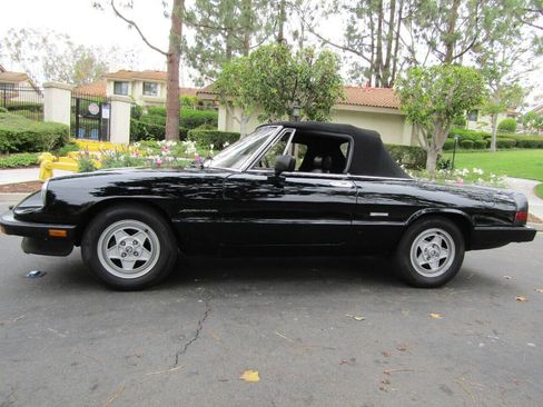 Used 1987 Alfa Romeo Spider Veloce image 4