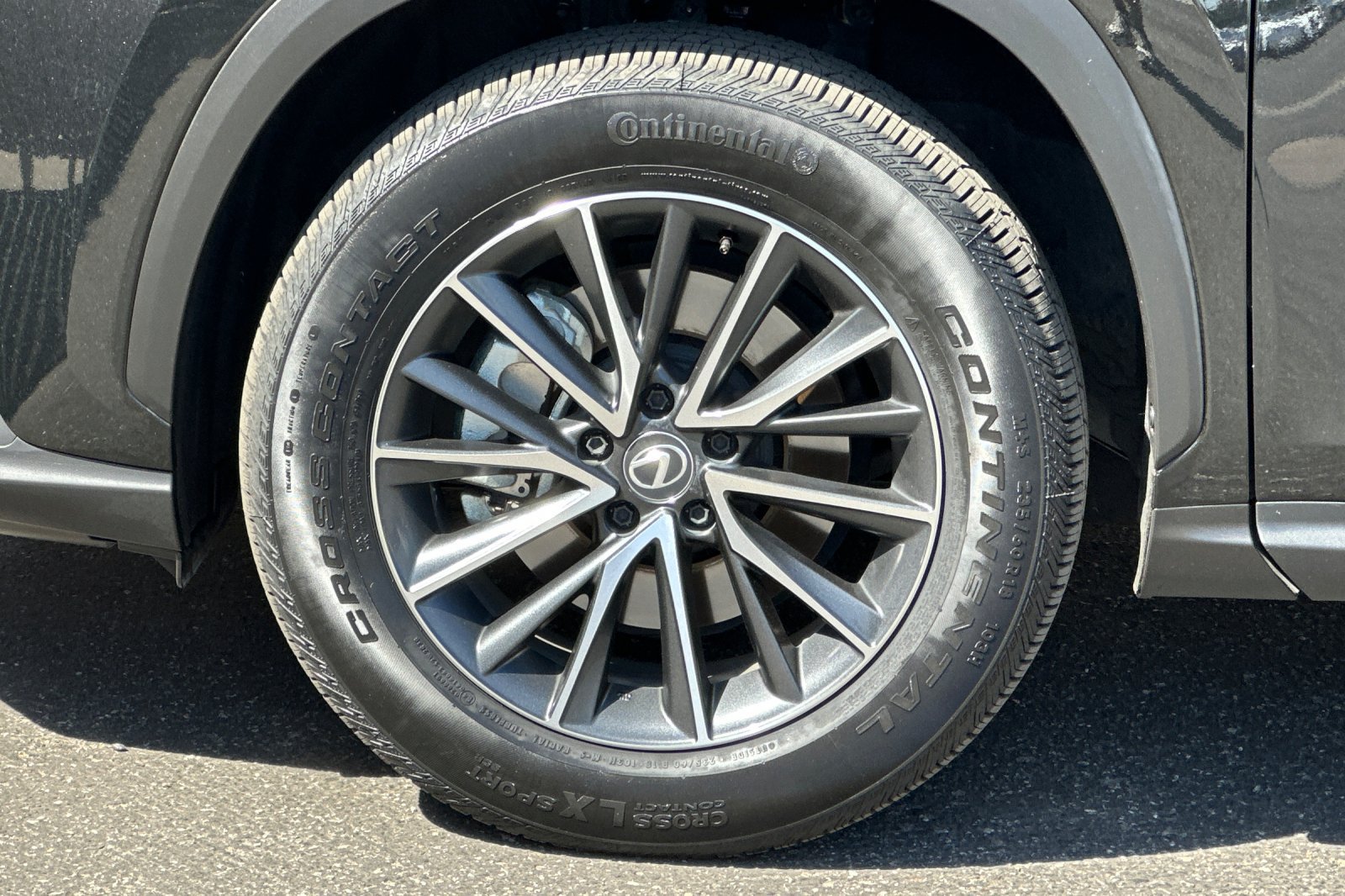 Certified 2025 Lexus NX 350h AWD w/ Cold Area Package image 30