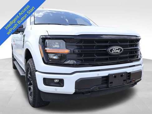 Used 2025 Ford F150 XLT w/ Equipment Group 302A MID AWD/4WD image 7