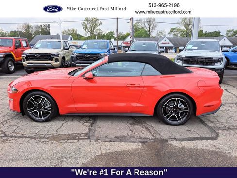 Used 2023 Ford Mustang Premium image 2