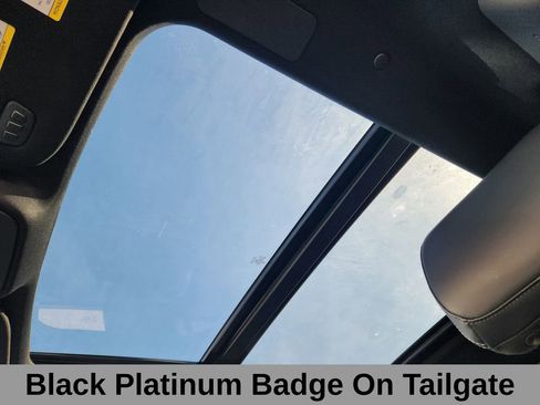 Certified 2025 Ford Expedition Platinum w/ Stealth Performance Package image 14