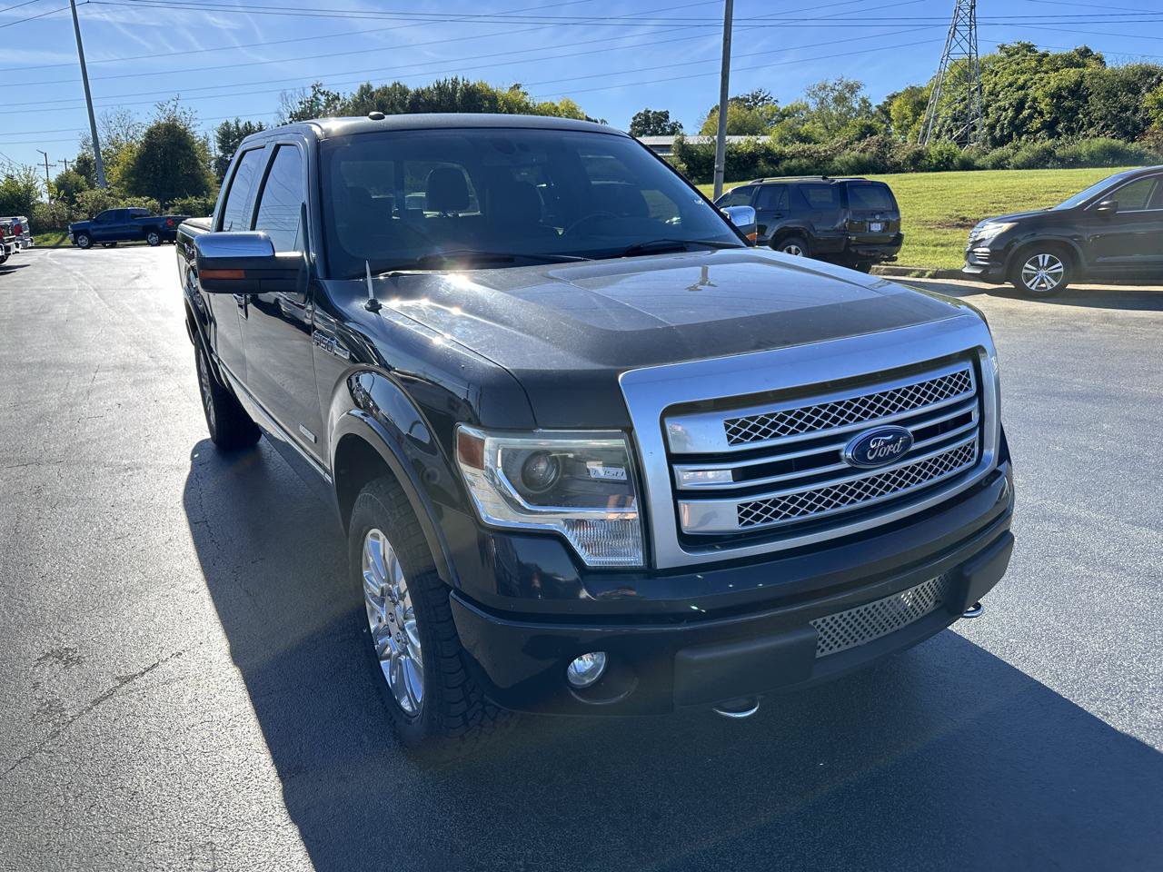 Used 2013 Ford F150 Platinum AWD/4WD image 6