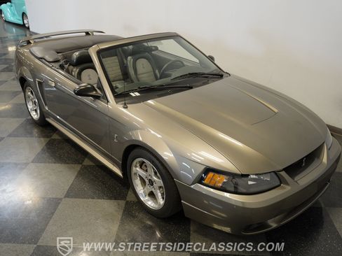 Used 2001 Ford Mustang Cobra RWD image 36
