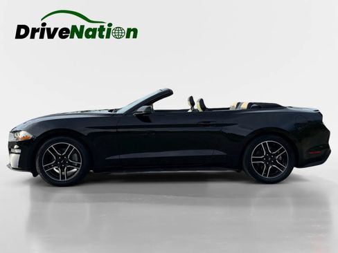 Used 2020 Ford Mustang Premium RWD image 2