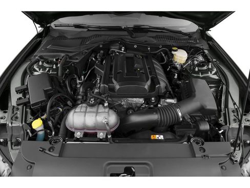 Used 2015 Ford Mustang Coupe RWD image 13