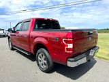 Used 2019 Ford F150 XLT w/ Equipment Group 302A Luxury image 4