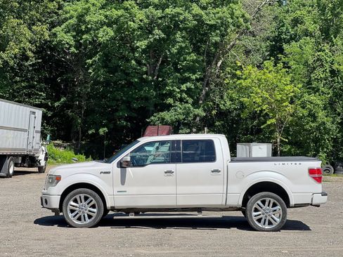 Used 2014 Ford F150 Limited AWD/4WD image 3