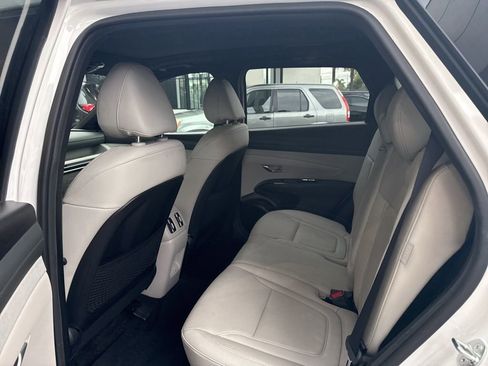 Used 2025 Hyundai Tucson Limited image 7