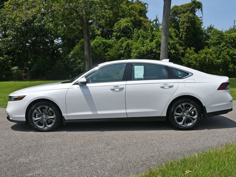 Used 2023 Honda Accord EX-L image 2