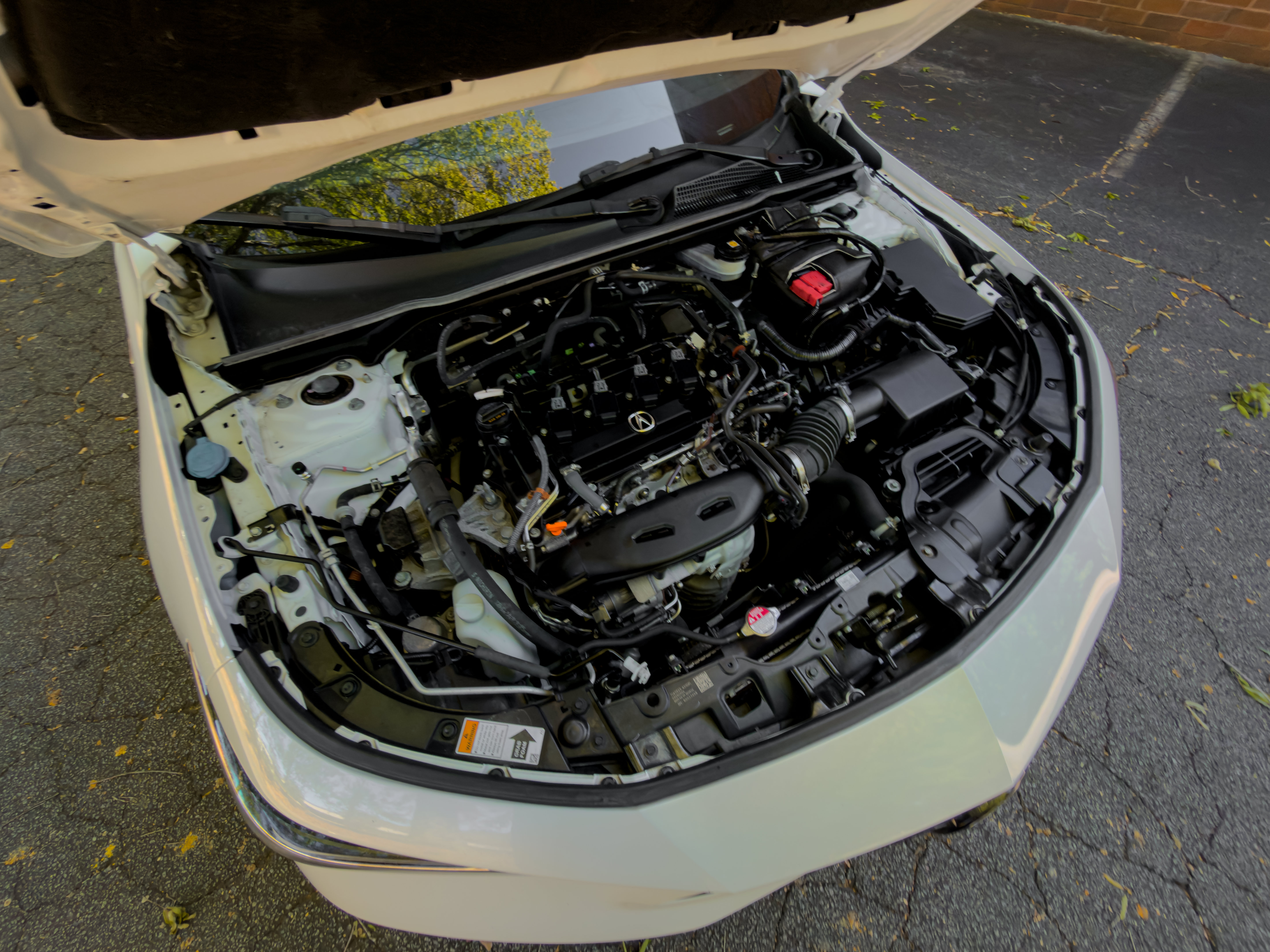Used 2024 Acura Integra A-Spec FWD image 65