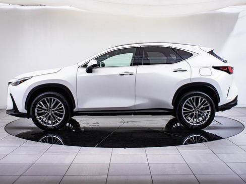 Used 2023 Lexus NX 350 AWD w/ Luxury Package image 5