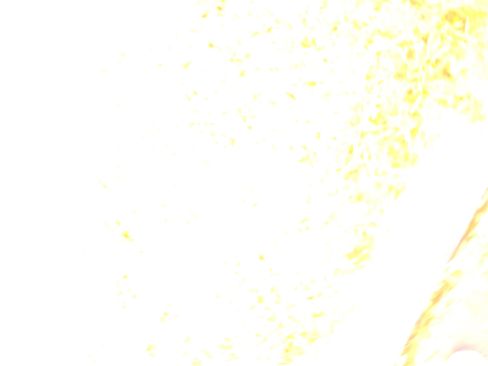 New 2026 Mercedes-Benz GLE 53 AMG 4MATIC Coupe image 15