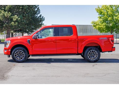 Used 2023 Ford F150 XLT w/ Equipment Group 302A High AWD/4WD image 6