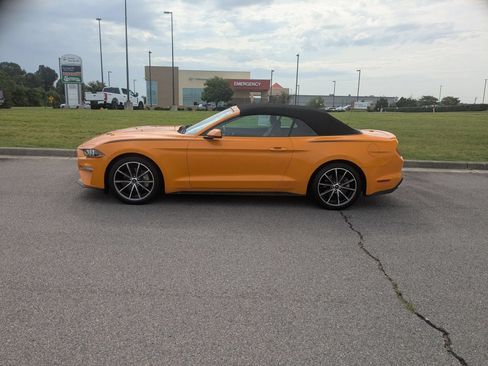 Used 2019 Ford Mustang Premium w/ Equipment Group 201A RWD image 6