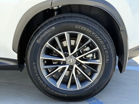 Certified 2024 Lexus NX 350h NX 350h Premium image 14