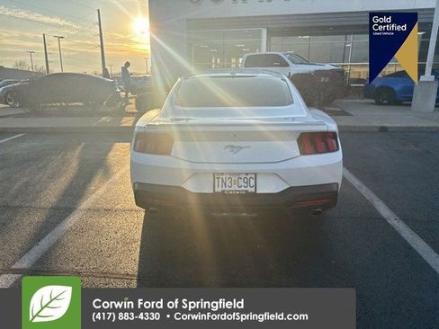 Used 2024 Ford Mustang Premium image 7