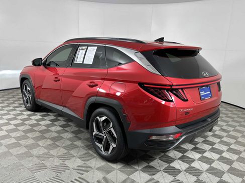 Used 2023 Hyundai Tucson Limited image 6