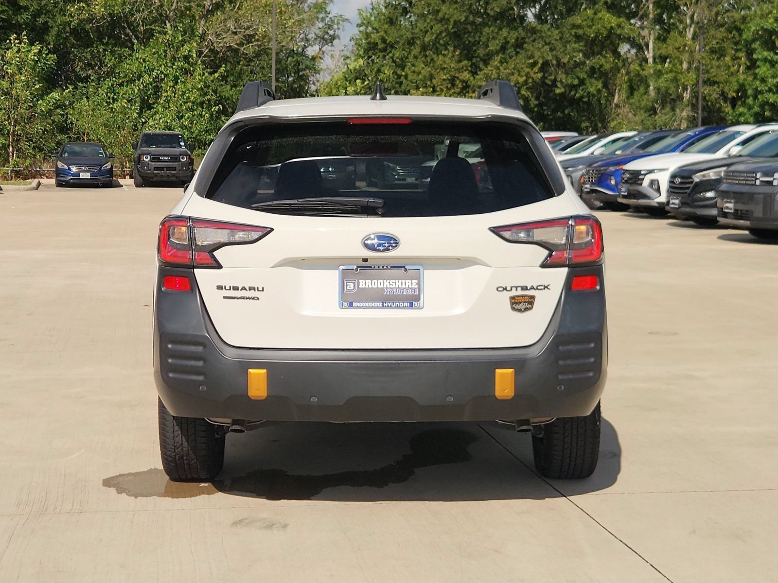 Used 2024 Subaru Outback Wilderness AWD/4WD image 7