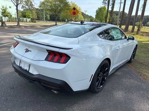 New 2026 Ford Mustang Coupe w/ Mustang Nite Pony Package RWD image 3