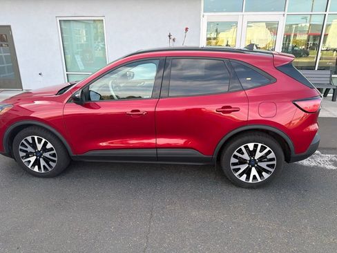 Used 2020 Ford Escape SE Sport AWD/4WD image 6