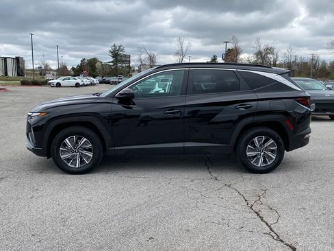 Used 2024 Hyundai Tucson Blue image 4