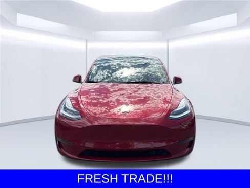 Used 2021 Tesla Model Y Long Range AWD/4WD image 2