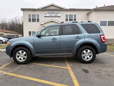 Used 2010 Ford Escape Limited image 1