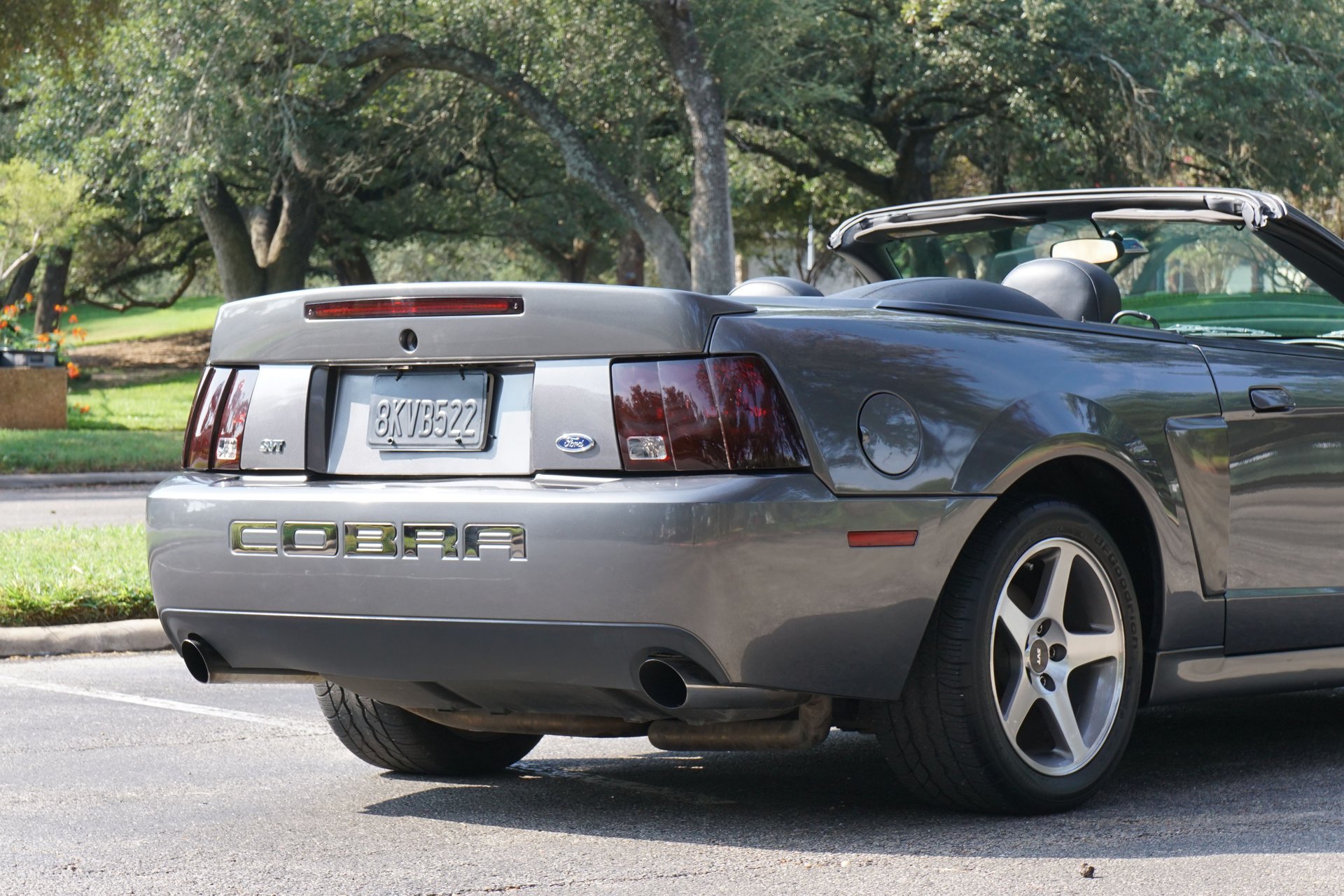 Used 2003 Ford Mustang Cobra RWD image 8
