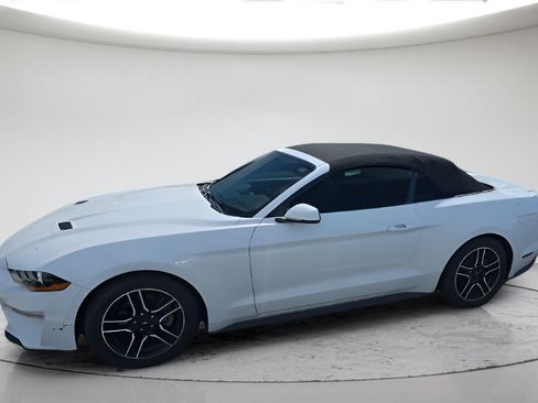 Used 2018 Ford Mustang Premium RWD image 8