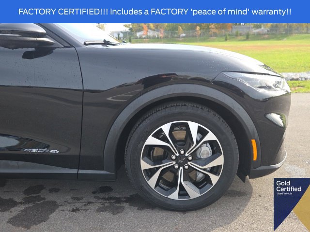 Used 2025 Ford Mustang Mach-E Select w/ Comfort Package Lite AWD/4WD image 6