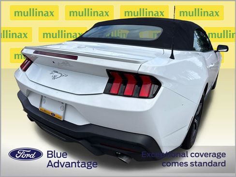 Used 2024 Ford Mustang Premium image 4